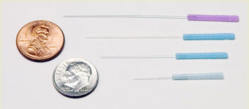 needle-scale1.jpg